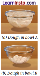 The Invisible Living World Beyond Our Naked Eye Class Extra Questions And Answers Science