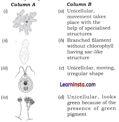 The Invisible Living World Beyond Our Naked Eye Class 8 MCQ Questions Science Chapter 2