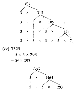 RD Sharma Class 10 Solutions Chapter 1 Real Numbers Ex 1.3 3