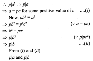 RD Sharma Class 10 Solutions Chapter 1 Real Numbers Ex 1.5 17