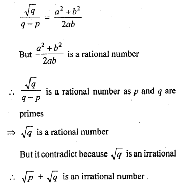 RD Sharma Class 10 Solutions Chapter 1 Real Numbers Ex 1.5 19