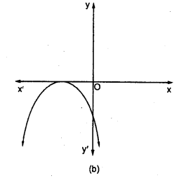 RD Sharma Class 10 Solutions Chapter 2 Polynomials MCQS 43