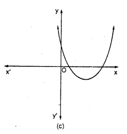 RD Sharma Class 10 Solutions Chapter 2 Polynomials MCQS 44