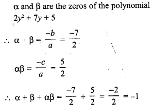 RD Sharma Class 10 Solutions Chapter 2 Polynomials VSAQS 19