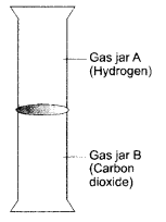 HOTS Questions for Class 9 Science Chapter 1 Matter in Our Surroundings image - 1