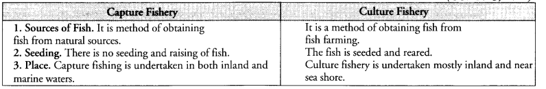 NCERT Exemplar Solutions for Class 9 Science Chapter 15 Improvement in Food Resources image - 4