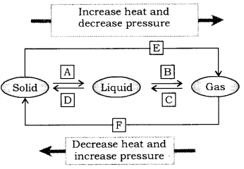 NCERT Solutions for Class 9 Science Chapter 1 Matter in Our Surroundings image - 2