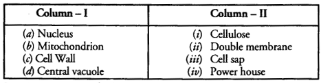 NCERT Solutions for Class 9 Science C