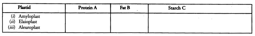 NCERT Solutions for Class 9 Science Chapter 5 The Fundamental Unit of Life image - 21