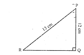 RD Sharma Class 10 Solutions Chapter 10 Trigonometric Ratios Ex 10.1 22