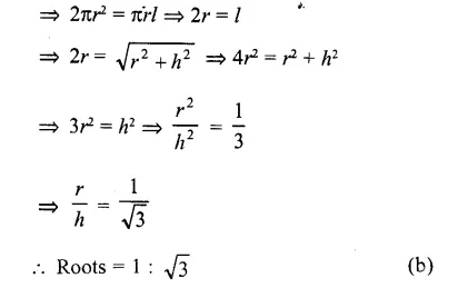 RD Sharma Class 10 Solutions Chapter 14 Surface Areas and Volumes MCQS 3