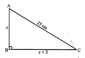 RD Sharma Class 10 Solutions Chapter 4 Quadratic Equations Ex 4.10 1