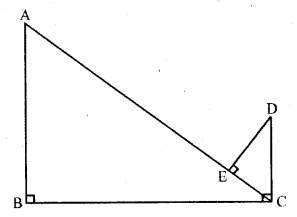RD Sharma Class 10 Solutions Chapter 7 Triangles Ex 7.5 12