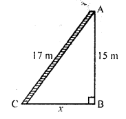 RD Sharma Class 10 Solutions Chapter 7 Triangles Ex 7.7 2