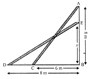 RD Sharma Class 10 Solutions Chapter 7 Triangles Ex 7.7 5