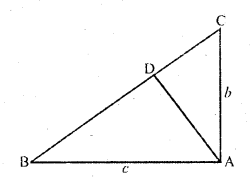 RD Sharma Class 10 Solutions Chapter 7 Triangles Ex 7.7 7