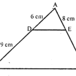 RD Sharma Class 10 Solutions Chapter 7 Triangles VSAQS 1