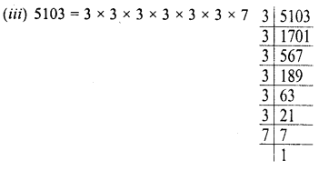 RD Sharma Class 8 Solutions Chapter 3 Squares and Square Roots Ex 3.1 33