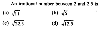 RD Sharma Class 9 Solutions Chapter 1 Number Systems MCQS Q19.1