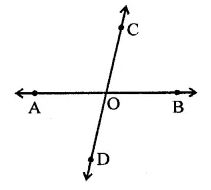 RD Sharma Class 9 Solutions Chapter 10 Congruent Triangles Ex 10.2 Q6.1