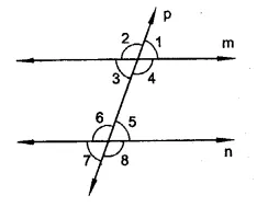 RD Sharma Class 9 Solutions Chapter 10 Congruent Triangles Ex 10.4 Q14.1