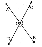 RD Sharma Class 9 Solutions Chapter 10 Congruent Triangles MCQS Q12.1