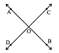 RD Sharma Class 9 Solutions Chapter 10 Congruent Triangles MCQS Q2.1