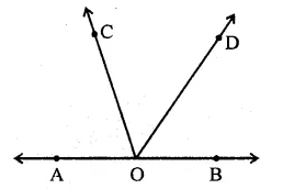 RD Sharma Class 9 Solutions Chapter 10 Congruent Triangles MCQS Q6.1