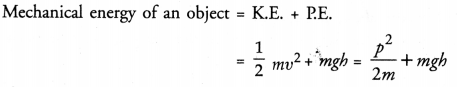 HOTS Questions for Class 9 Science Chapter 11 Work, Power and Energy image - 2