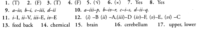NCERT Solutions for Class 10 Science Chapter 7 Control and Coordination image - 5