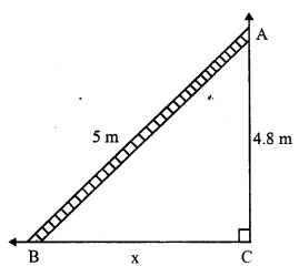 RS Aggarwal Class 7 Solutions Chapter 15 Properties of Triangles Ex 15D 6