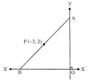 Selina Concise Mathematics Class 10 ICSE Solutions Chapter 13 Section and Mid-Point Formula Ex 13B Q5.1
