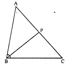 Selina Concise Mathematics Class 10 ICSE Solutions Chapter 15 Similarity Ex 15A Q5.1