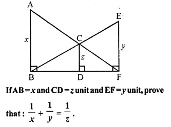 Selina Concise Mathematics Class 10 ICSE Solutions Chapter 15 Similarity Ex 15E Q3.1