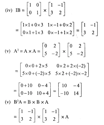 Selina Concise Mathematics Class 10 ICSE Solutions Chapter 9 Matrices Ex 9C Q2.4