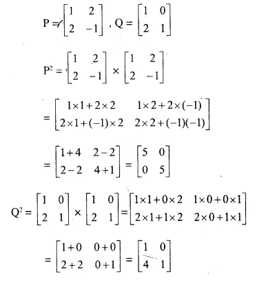 Selina Concise Mathematics Class 10 ICSE Solutions Chapter 9 Matrices Ex 9C Q22.2