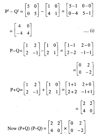 Selina Concise Mathematics Class 10 ICSE Solutions Chapter 9 Matrices Ex 9C Q22.3