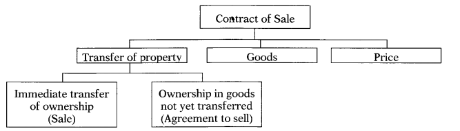 CA Foundation Business Laws Study Material Chapter 10 Formation of Contract of Sale 1