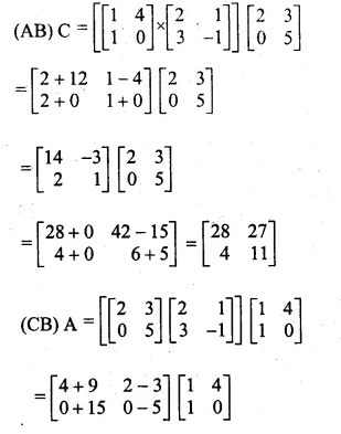 ML Aggarwal Class 10 Solutions for ICSE Maths Chapter 8 Matrices Chapter Test Q6.1