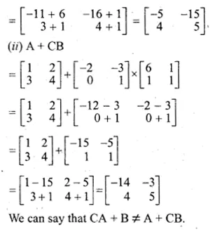 ML Aggarwal Class 10 Solutions for ICSE Maths Chapter 8 Matrices Ex 8.3 Q10.1