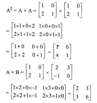ML Aggarwal Class 10 Solutions for ICSE Maths Chapter 8 Matrices Ex 8.3 Q14.1