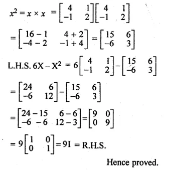 ML Aggarwal Class 10 Solutions for ICSE Maths Chapter 8 Matrices Ex 8.3 Q17.1