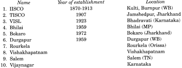 NCERT Solutions for Class 10 Social Science Geography Chapter 6 Manufacturing Industries 1