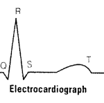 NCERT Exemplar Solutions for Class 11 Biology Chapter 18 Body Fluids and Circulation 1