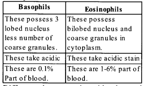 NCERT Exemplar Solutions for Class 11 Biology Chapter 18 Body Fluids and Circulation 3