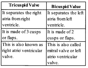 NCERT Exemplar Solutions for Class 11 Biology Chapter 18 Body Fluids and Circulation 4