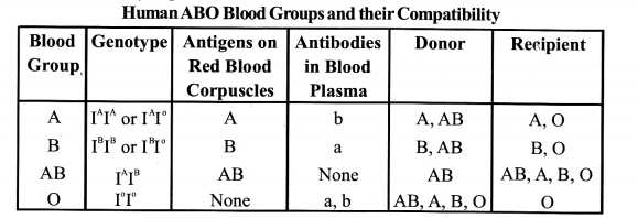 NCERT Exemplar Solutions for Class 11 Biology Chapter 18 Body Fluids and Circulation 6