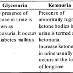 NCERT Exemplar Solutions for Class 11 Biology Chapter 19 Excretory Products and their Elimination 1