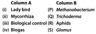 NCERT Exemplar Solutions for Class 12 Biology chapter 10 Microbes in Human Welfare 3