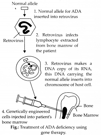 NCERT Exemplar Solutions for Class 12 Biology chapter 12 Biotechnology and Its Applications 1
